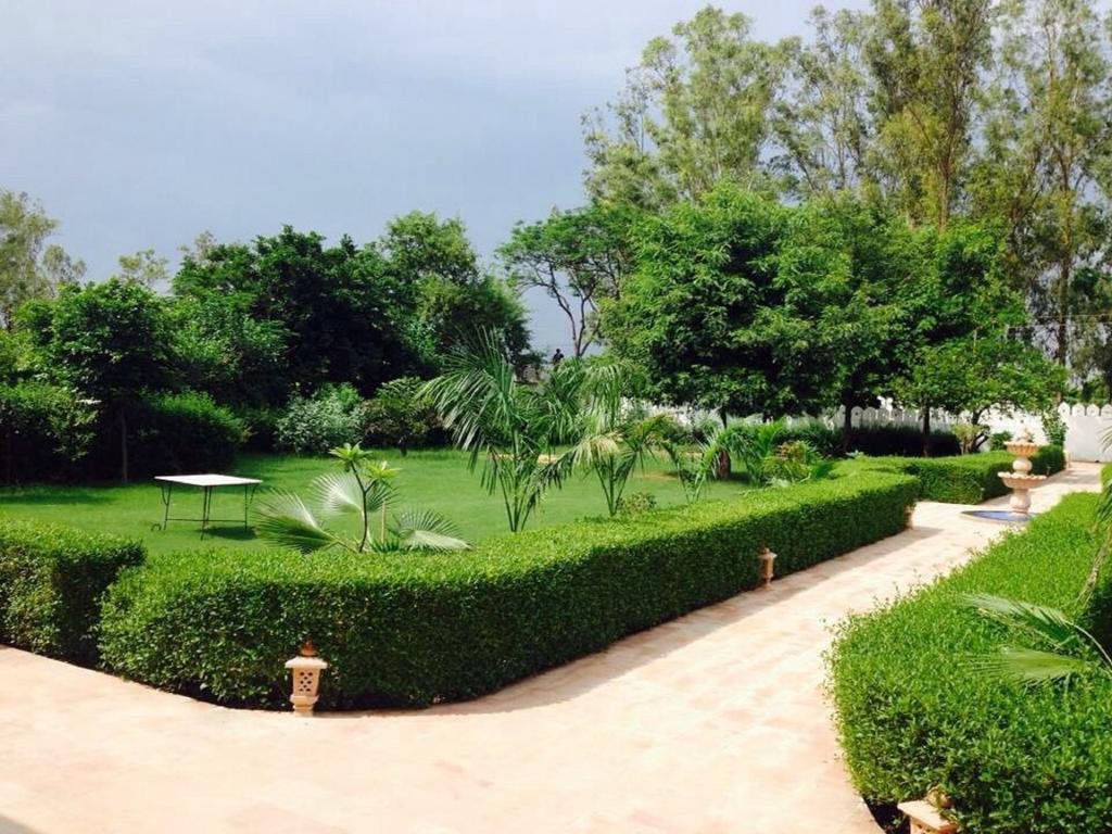 Surya Palace